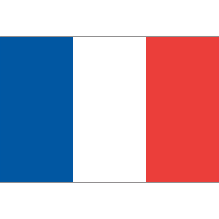 Résultats de recherche d'images pour « drapeau français »